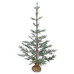 a small christmas tree in a vase on a white background