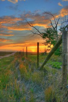 the sun is setting over an open field with a fence and trees in front of it