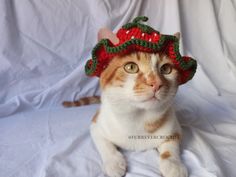 an orange and white cat wearing a crocheted strawberry hat on top of it's head