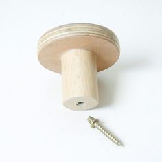 a screw is sitting next to a wooden knob on a white surface with a hole in the middle