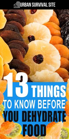 there are many different types of fruits on the cover of this book, and it's title reads 13 things to know before you dehydraate food