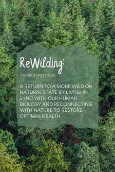 ReWilding definition: a return to a more wild or natural state by living in sync with our human biology and reconnecting with nature to restore optimal health Nature Words, Balance Hormones, Holistic Lifestyle, Naturopathy, Holistic Living