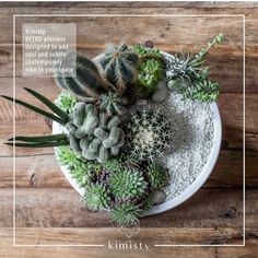 an arrangement of succulents in a white bowl on a wooden table with the words, kristy