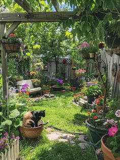 a dog is sitting in a basket on the grass near some potted plants and flowers