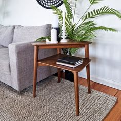 a living room with a couch, coffee table and potted plant on the floor