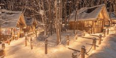 small wooden cabins in the woods are covered with snow and lite up by string lights