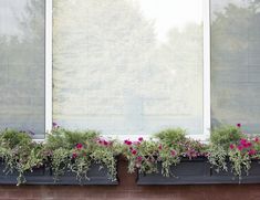 two windows with flower boxes on the outside and one has pink flowers in it, while the other is green