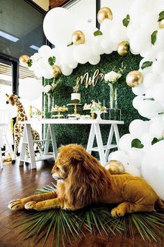 a lion laying on top of a wooden floor next to white and gold balloons in front of a green wall