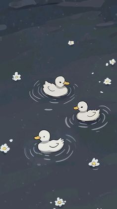 three ducks floating on top of a lake next to white flowered water lilies