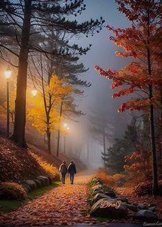 two people walking down a path in the woods at night with street lights shining on them