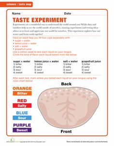 an orange and white brochure with the words taste experiment