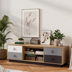 a living room with plants and pictures on the wall