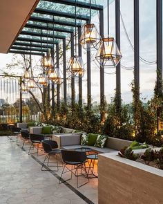 an outdoor seating area with lots of plants and lights hanging from the ceiling above it