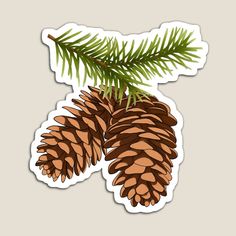 a pine cone hanging from a tree branch sticker on a white background with green leaves