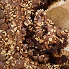 a wooden spoon filled with chocolate cake and nuts