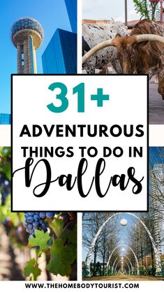 the words 31 + adventures things to do in dallas with images of buildings and trees