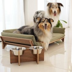 two dogs sitting on top of a dog bed with their bowls in front of them