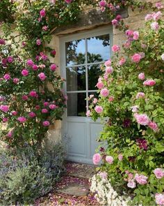 pink roses are growing on the side of a stone building with an open door and window