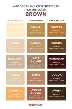 the color chart for different shades of brown