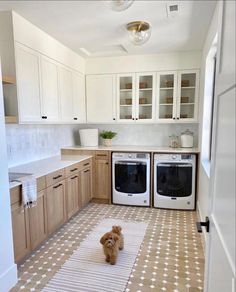 a dog is standing on the kitchen floor in front of the washer and dryer