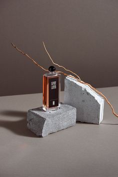 a bottle of perfume sitting on top of a block of concrete next to a plant