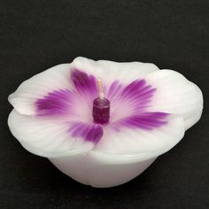 a white and purple flower sitting in a bowl on a black surface with dark background