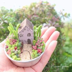 a miniature house in the palm of someone's hand, with plants growing out of it