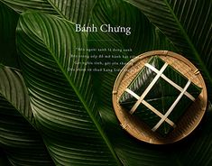 an image of a bamboo box on top of a leafy green background with the words, bath chute