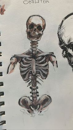 a drawing of a skeleton sitting next to another skeleton