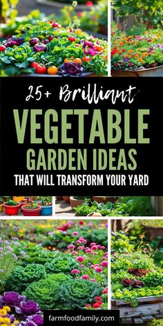 vegetable garden ideas that will transform your yard into an amazing place to grow fresh vegetables