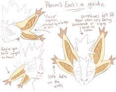 an image of how to draw a fox's head with different angles and shapes