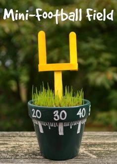 a potted plant with grass in it and the words mini - football field on top