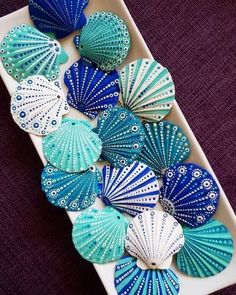 there are many seashells in the tray on the table and one is blue