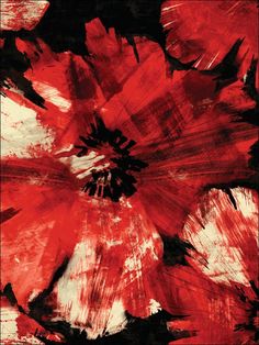 AV50001 Curie Floral Red and Black Wallpaper Red Flower Wallpaper, Geometric Wallpaper Design, Transitional Wallpaper, Red And Black Wallpaper, 3d Wallpapers, Neutral Wallpaper, Flower Iphone Wallpaper, W Wallpaper, Contemporary Wallpaper