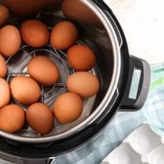 six eggs in an instant pot on a towel