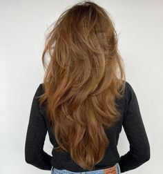 Layered Front Long Hair, Layers In V Shape, Long Hair With Layers Back View, Haircut Thick Long Hair, Laired Haircuts, Long Layered Textured Hair, Extra Layered Long Hair, Long Layered Hair From The Back, Long Layed Hairstyles