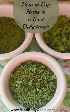 three bowls filled with different types of herbs and the words how to dry herbs in a food dehydraator