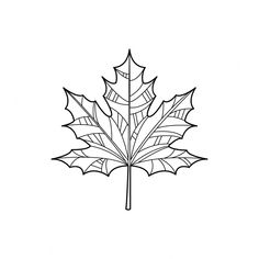 a drawing of a maple leaf on a white background