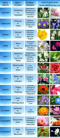 a poster with many different flowers in the same color and size, all on one page