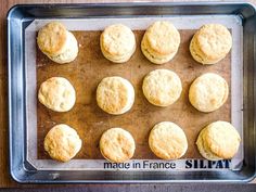 twelve biscuits on a baking sheet ready to be baked