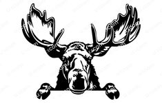 moose head with large antlers and two small birds on it's back, in black and white