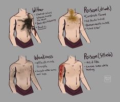 the anatomy of a person's torso and neck