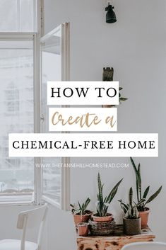 a table with potted plants on it and the words how to create a chemical - free home