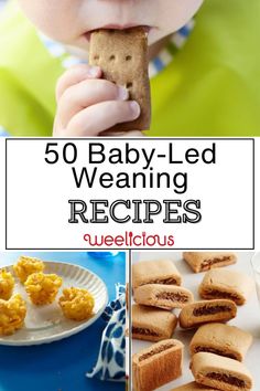 baby - led weaning recipes for babies and toddlers