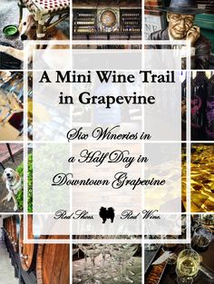 a wine trail in grapevine with lots of different pictures and words on the side