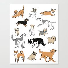 a card with dogs on it in different colors and sizes, including black, brown, white