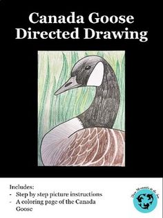 a drawing book with the title canada goose directed drawing