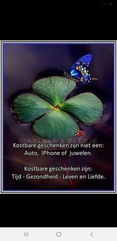 a blue butterfly sitting on top of a green leaf next to a quote from the poem