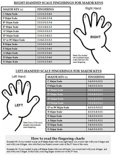 the right hand and left hand finger measurements