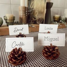 three pine cones sitting on top of a table with place cards in front of them